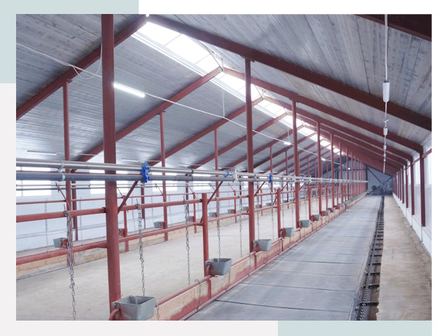 Строительство коровников в Добрянке от 606 руб.