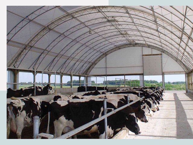 Тентовые коровники в Добрянке